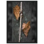 0b650b82-77a6-48cc-a945-5dcda458e87d