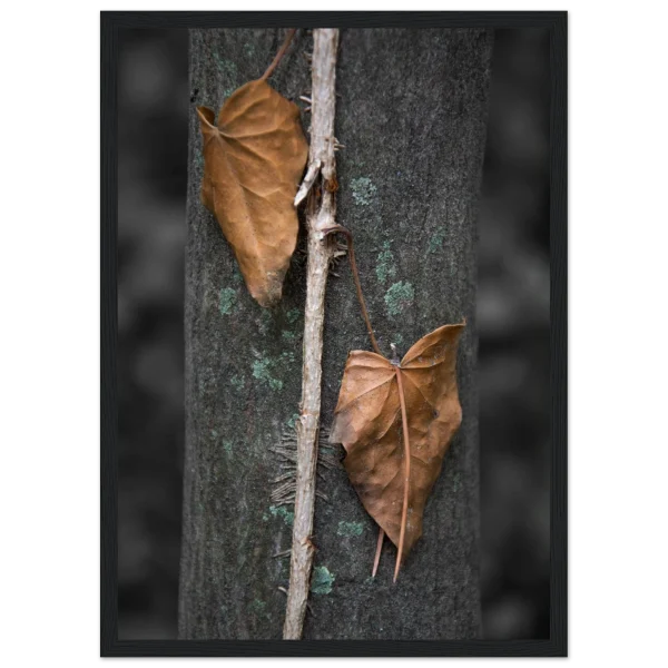 0b650b82-77a6-48cc-a945-5dcda458e87d