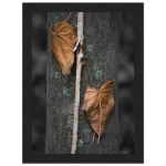 87b4969b-ad21-4049-abdd-cc3092ca20aa