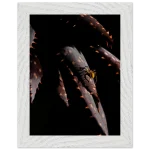 cc1fef46-ec53-47fd-8444-ceceebddb8ca